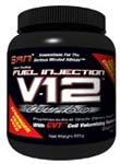 san v12 fuel injection